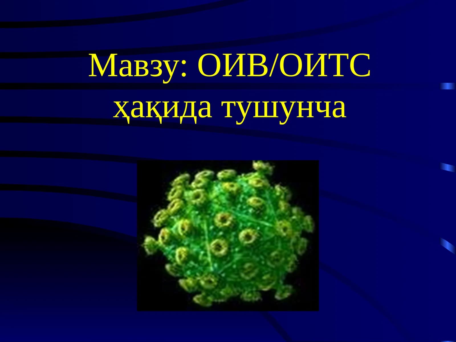 ОИВ/ОИТС ҳақида тушунча