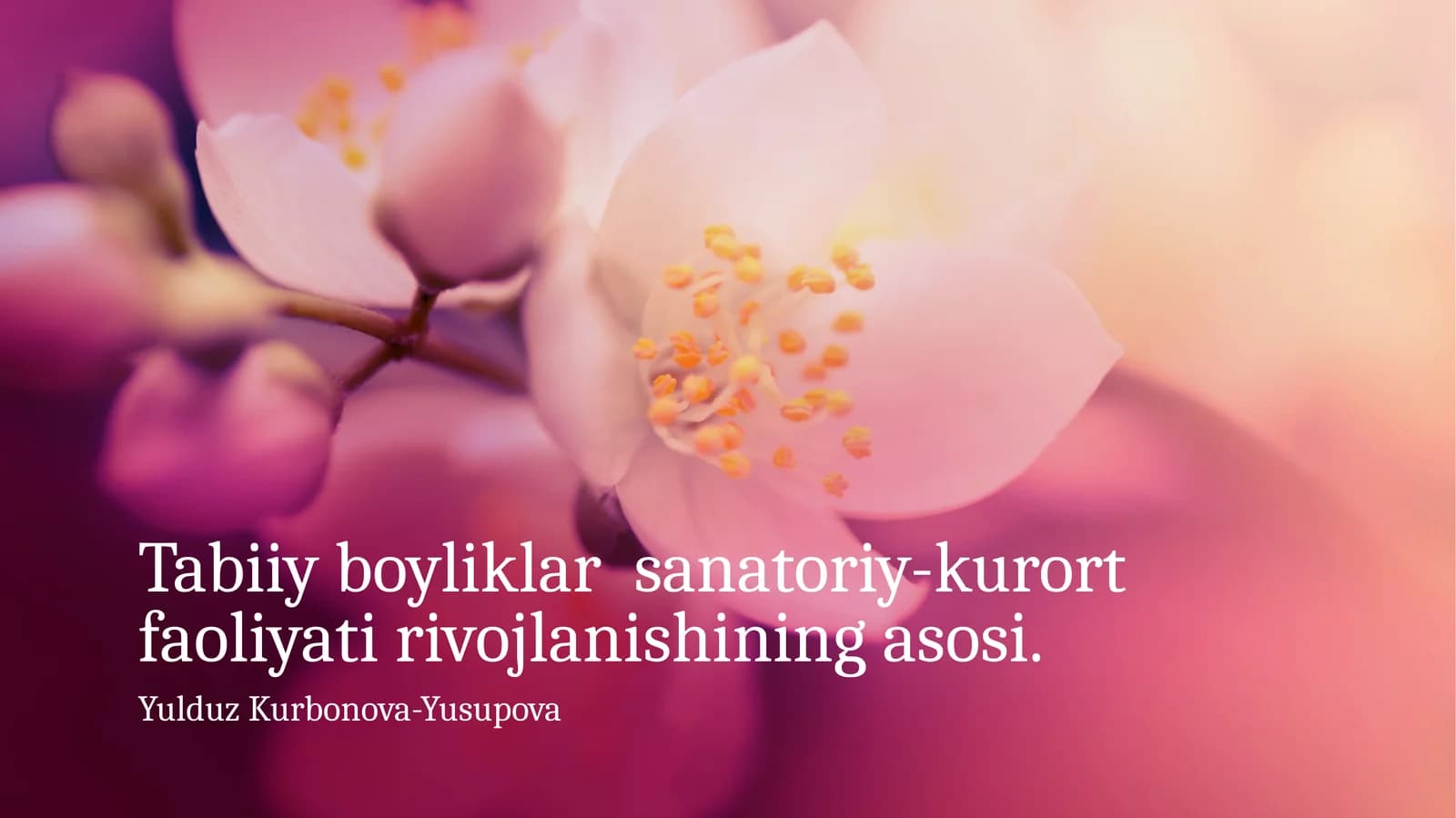 Tabiiy boyliklar sanatoriy-kurort faoliyati rivojlanishining asosi