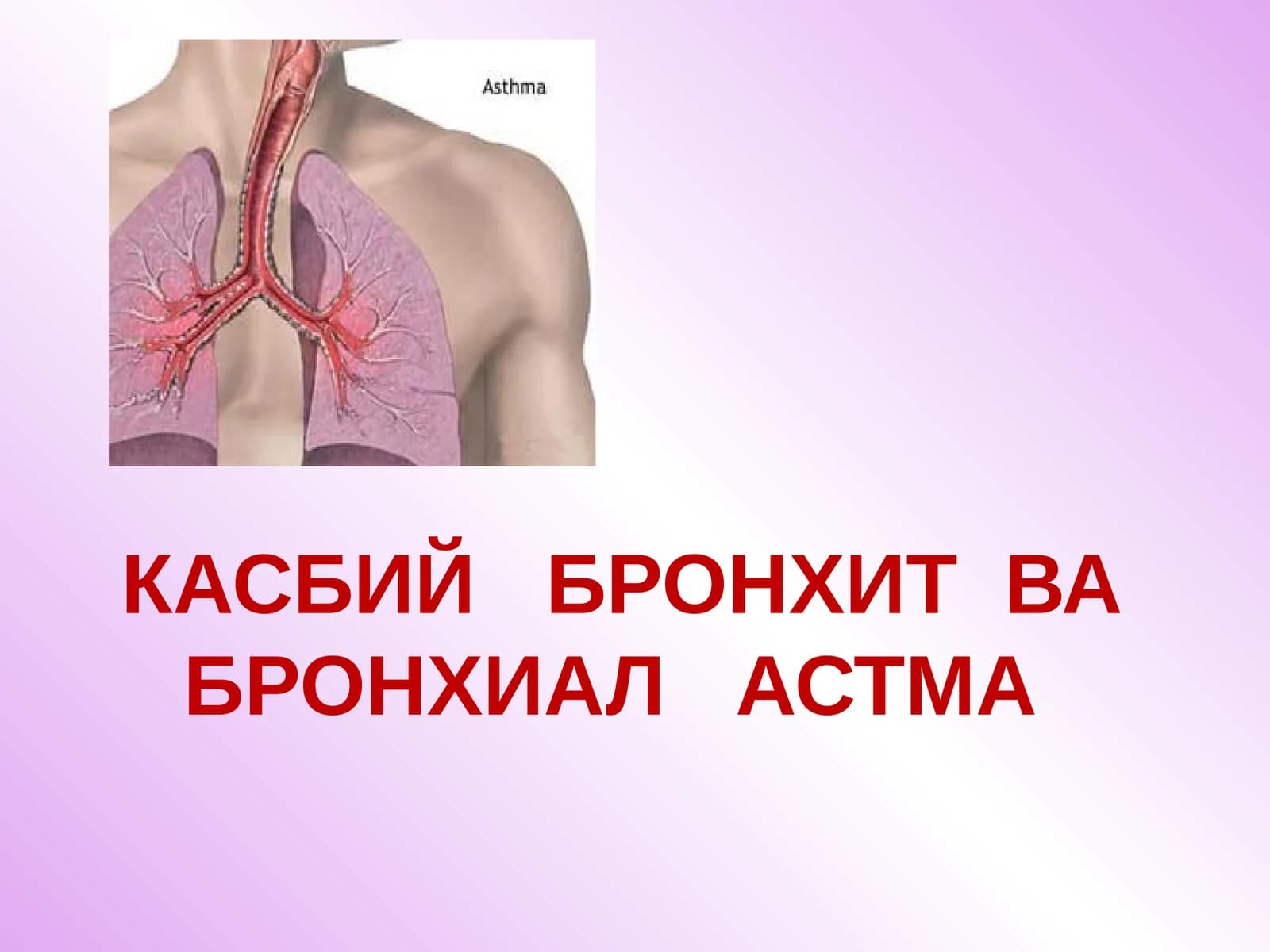 КАСБИЙ БРОНХИТ ВА БРОНХИАЛ АСТМА