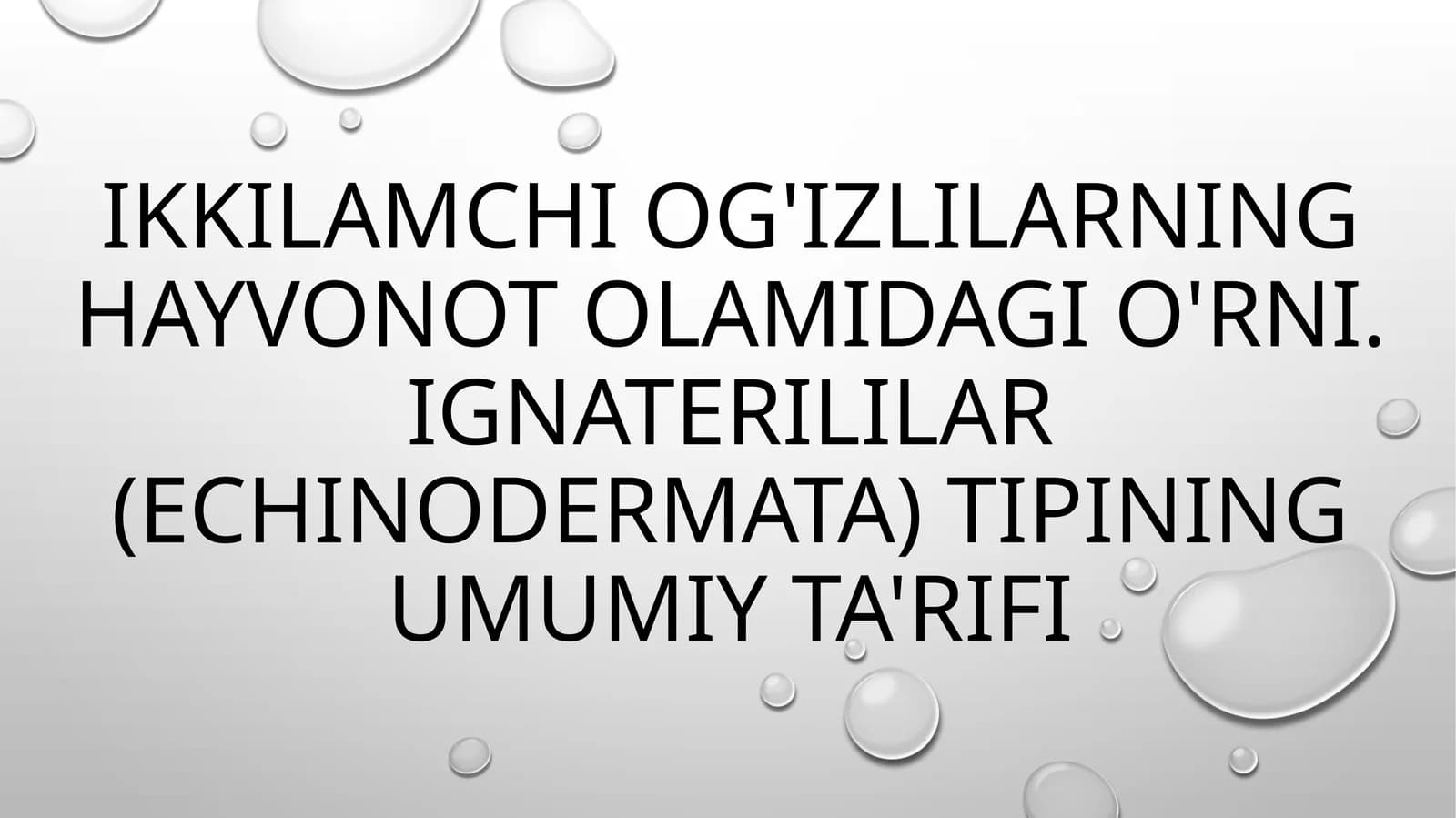 Ikkilamchi og'izlilarning hayvonot olamidagi o'rni. Ignaterililar (Echinodermata) tipining umumiy ta'rifi