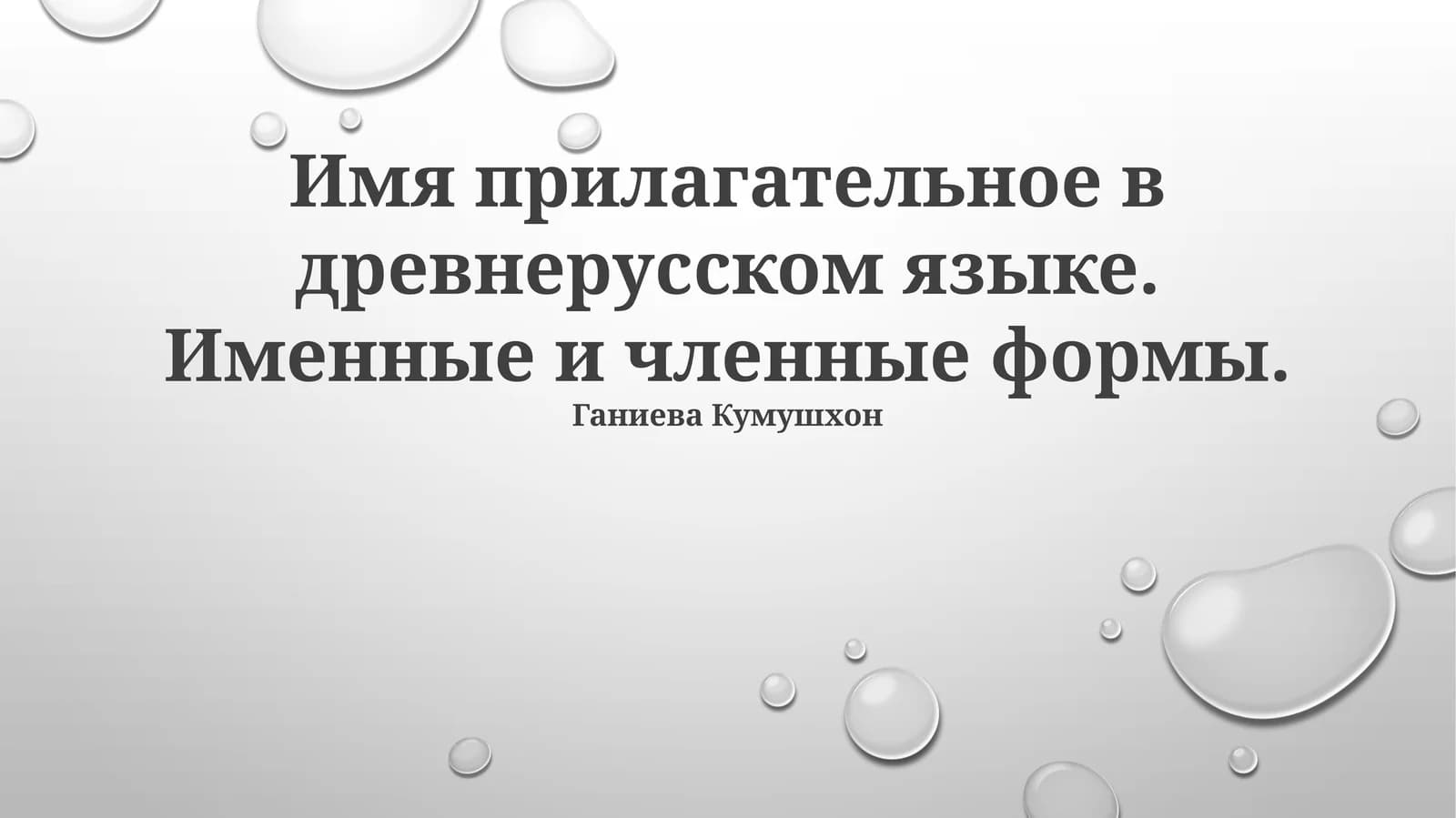 Имя прилагательное в древнерусском языке. Именные и членные формы