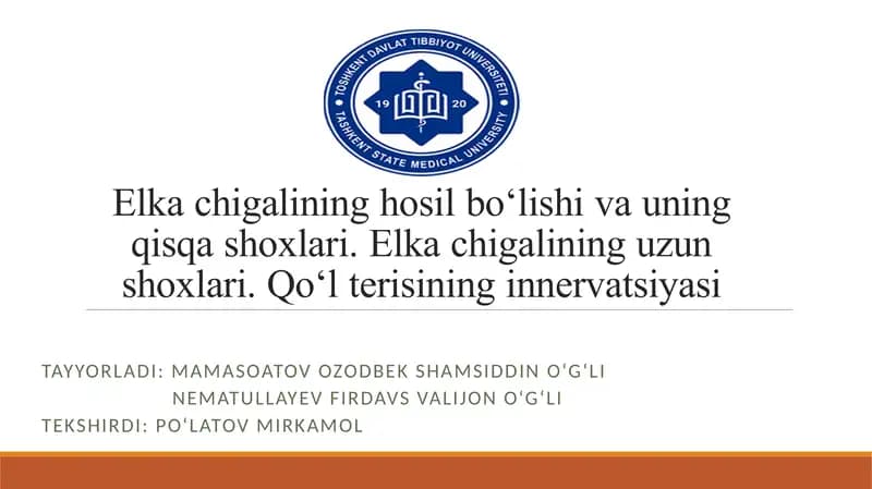 yelka chigalining hosil bo'lishi