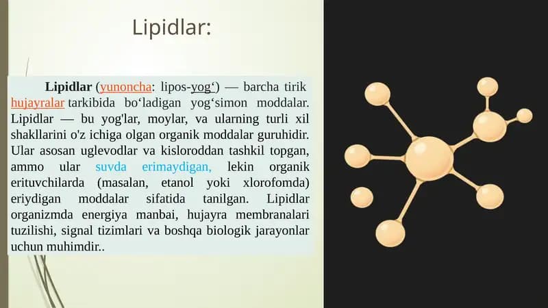 Lipidlar