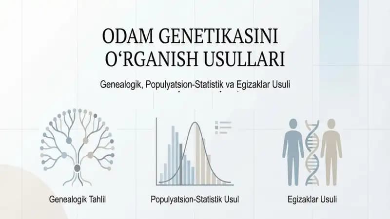 Odam genetikasini oʻrganish usullari genealogik populyatsion statistik va egizaklar usuli