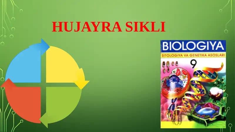 HUJAYRASIKLI