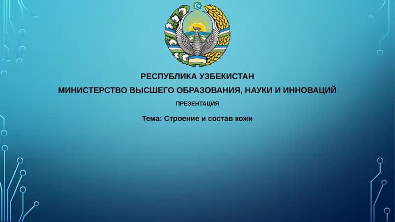 Строение и состав кожи