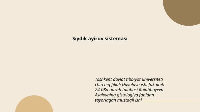 Siydik ayiruv sistemasi
