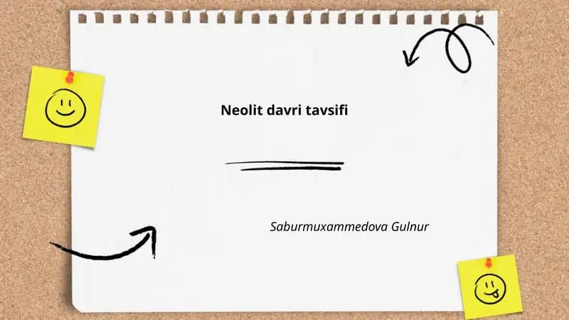 Neolit davri tavsifi
