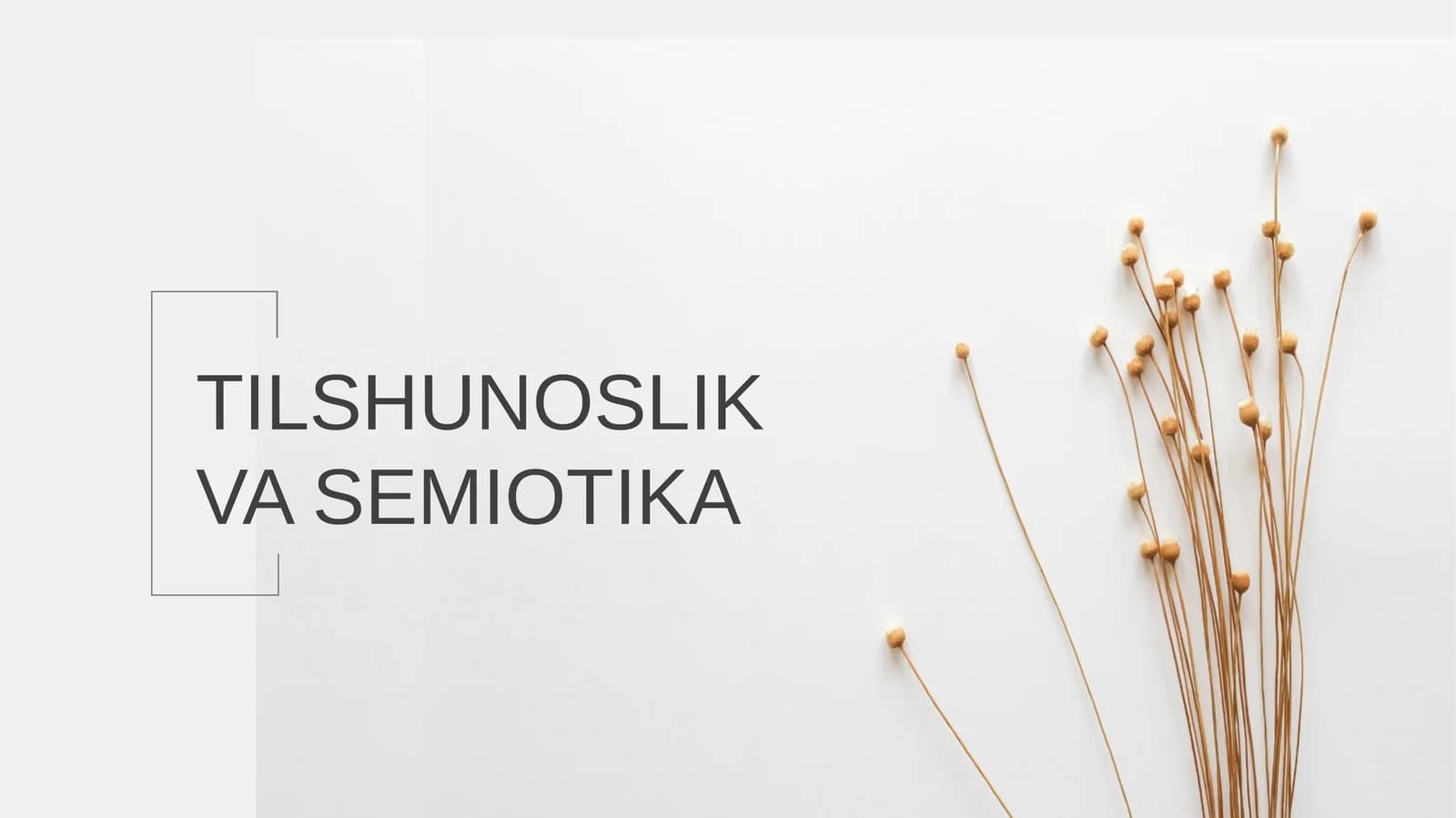 Tilshunoslik va Semiotika
