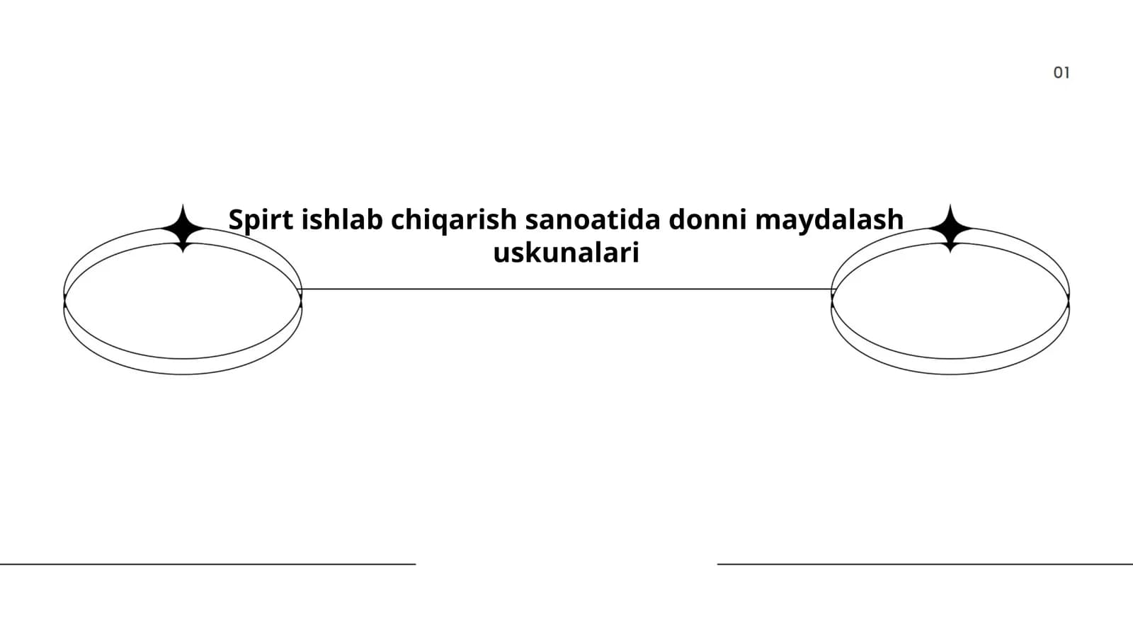 Spirt ishlab chiqarish sanoatida donni maydalash uskunalari
