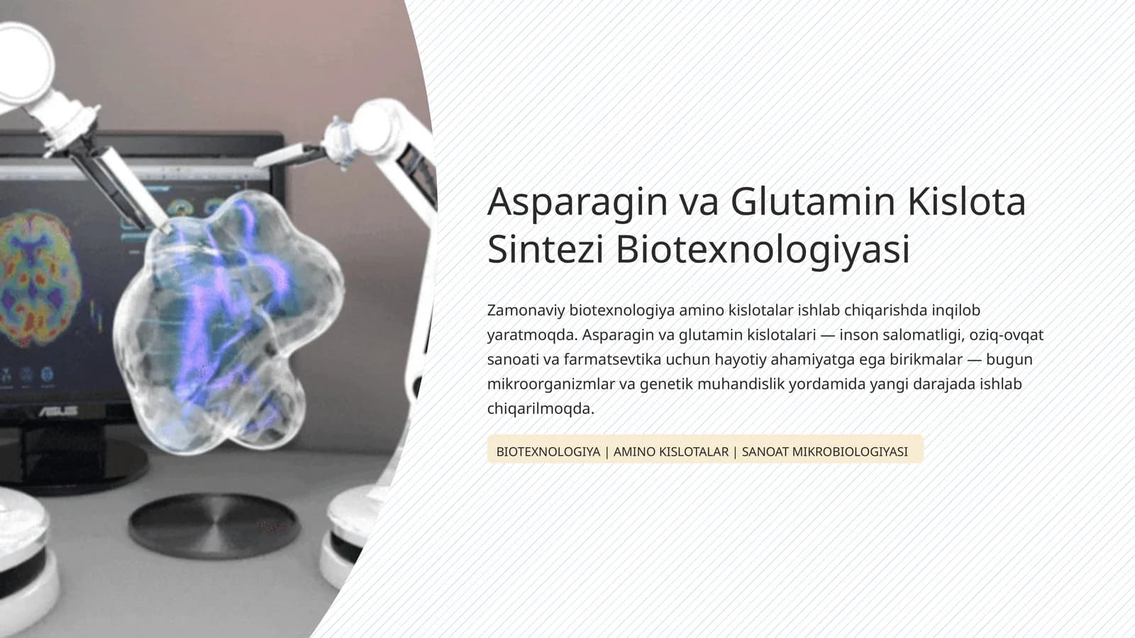 Asparagin va Glutamin Kislota Sintezi Biotexnologiyasi