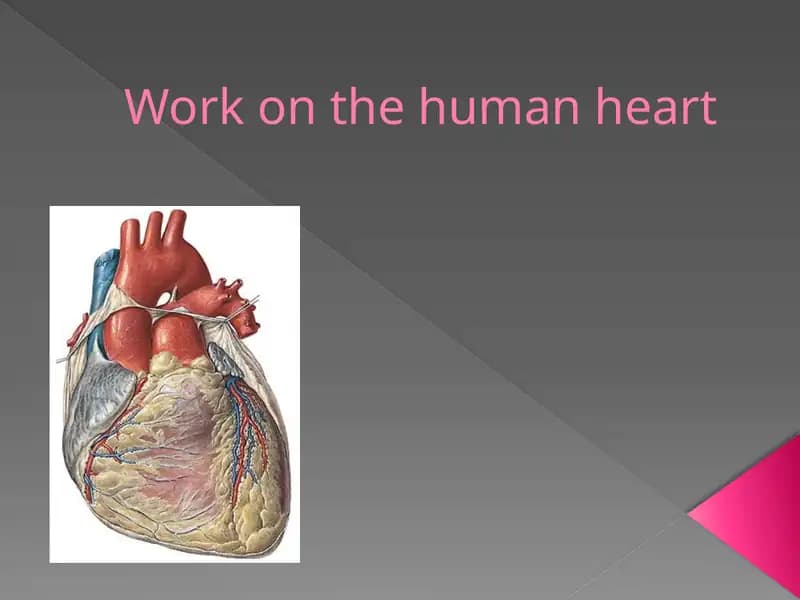 Work on the human heart