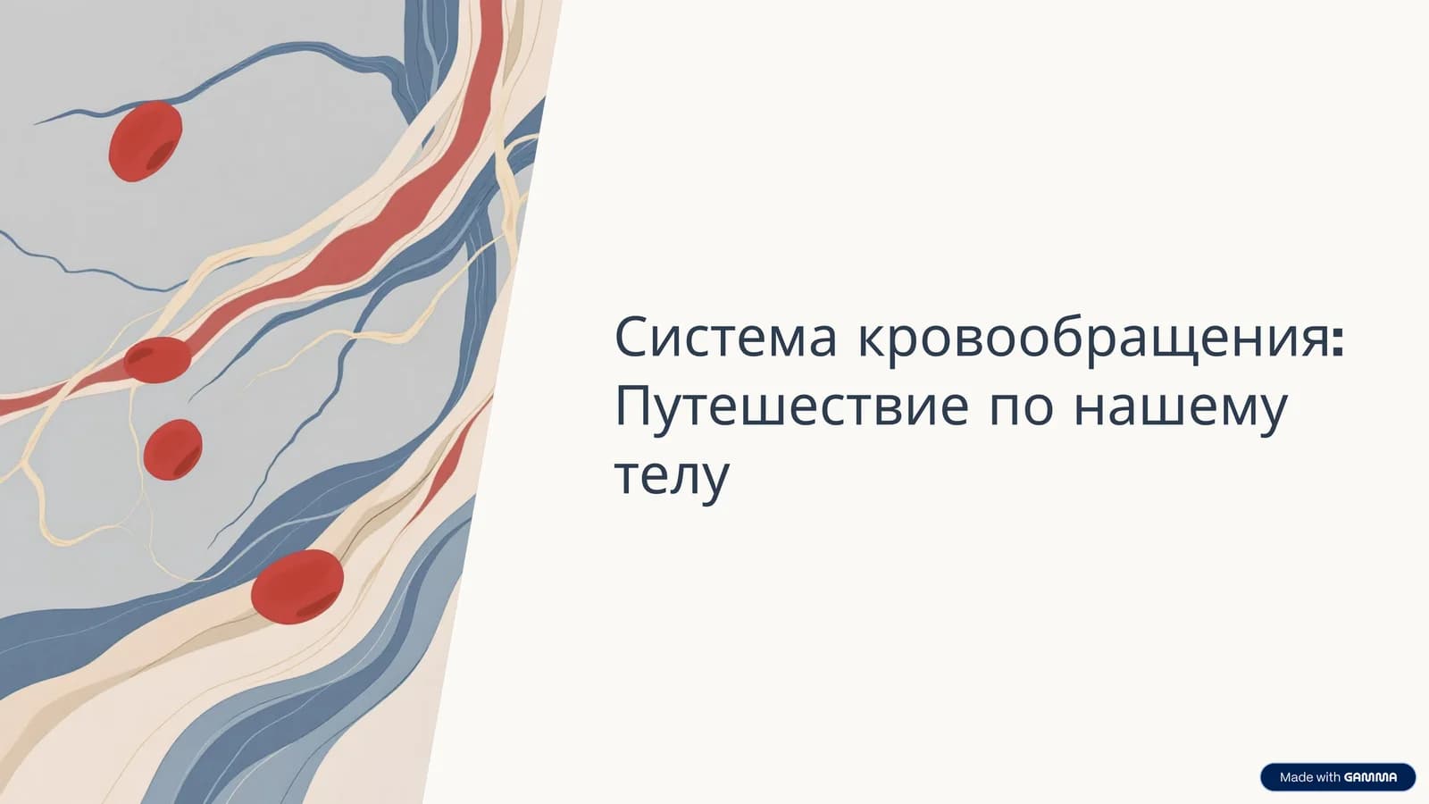 Система кровообращения: Путешествие по нашему телу