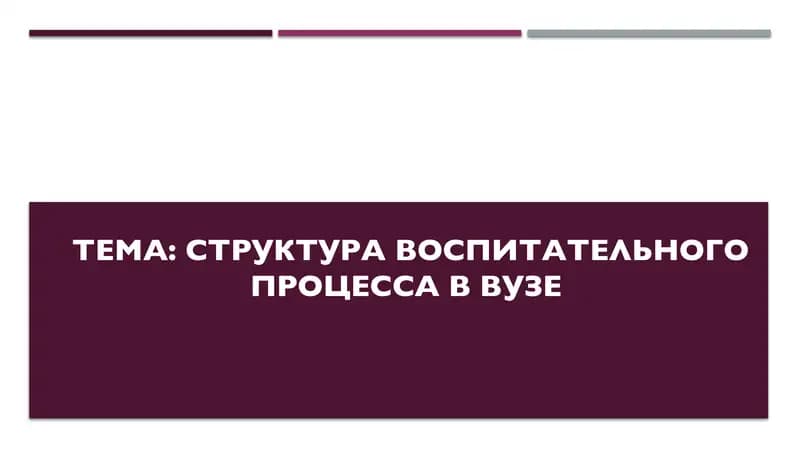Структура воспитательного процесса в вузе