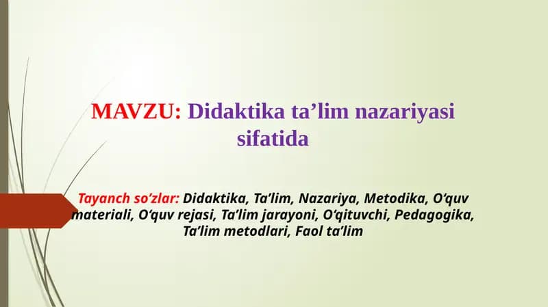 Didaktika ta’lim nazariyasi sifatida (TAQDIMOT)