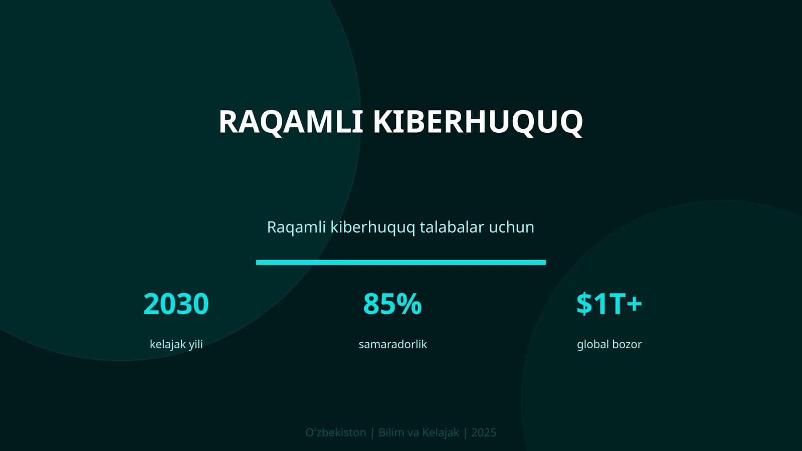 Raqamli kiberhuquq