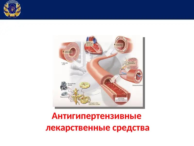 Антигипертензивные лекарственные средства