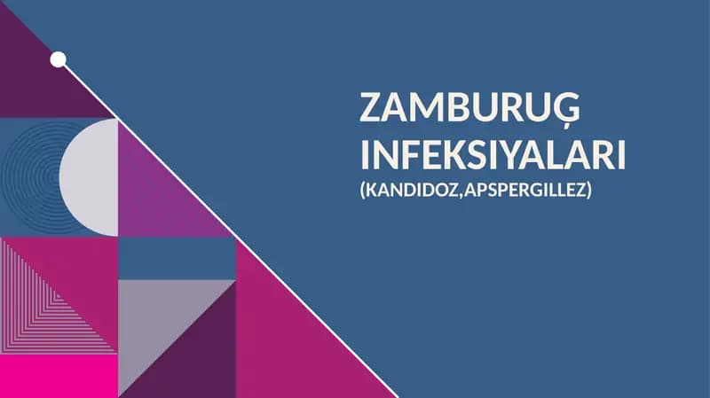 Zamburuģ infeksiyalari