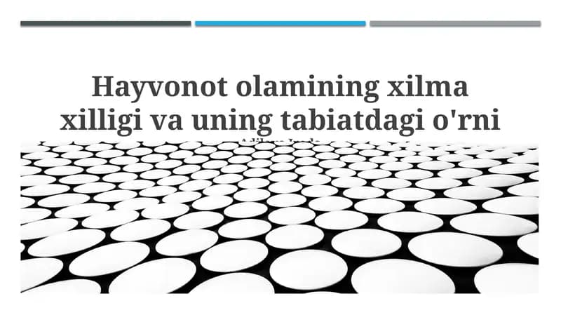 Hayvonot olamining xilma xilligi va uning tabiatdagi o'rni