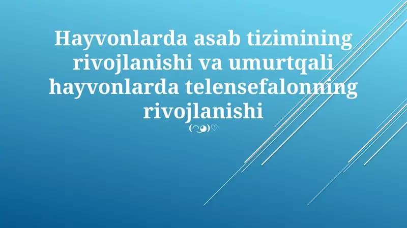 Umurtqali hayvonlarda telensefalonning rivojlanishi