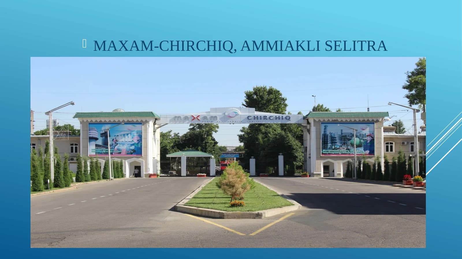 MAXAM-CHIRCHIQ, AMMIAKLI SELITRA