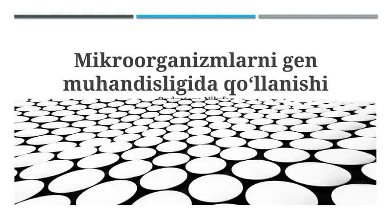 Mikroorganizmlarni gen muhandisligida qoʻllanishi