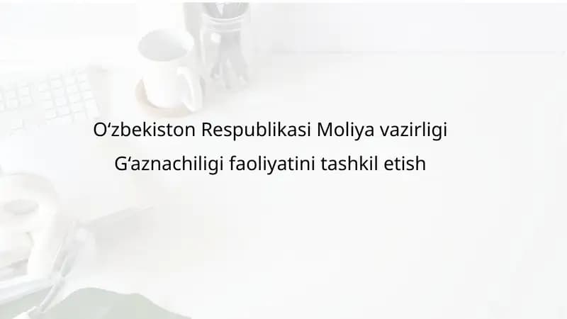 O‘zbekiston Respublikasi Moliya vazirligi G‘aznachiligi faoliyatini tashkil etish