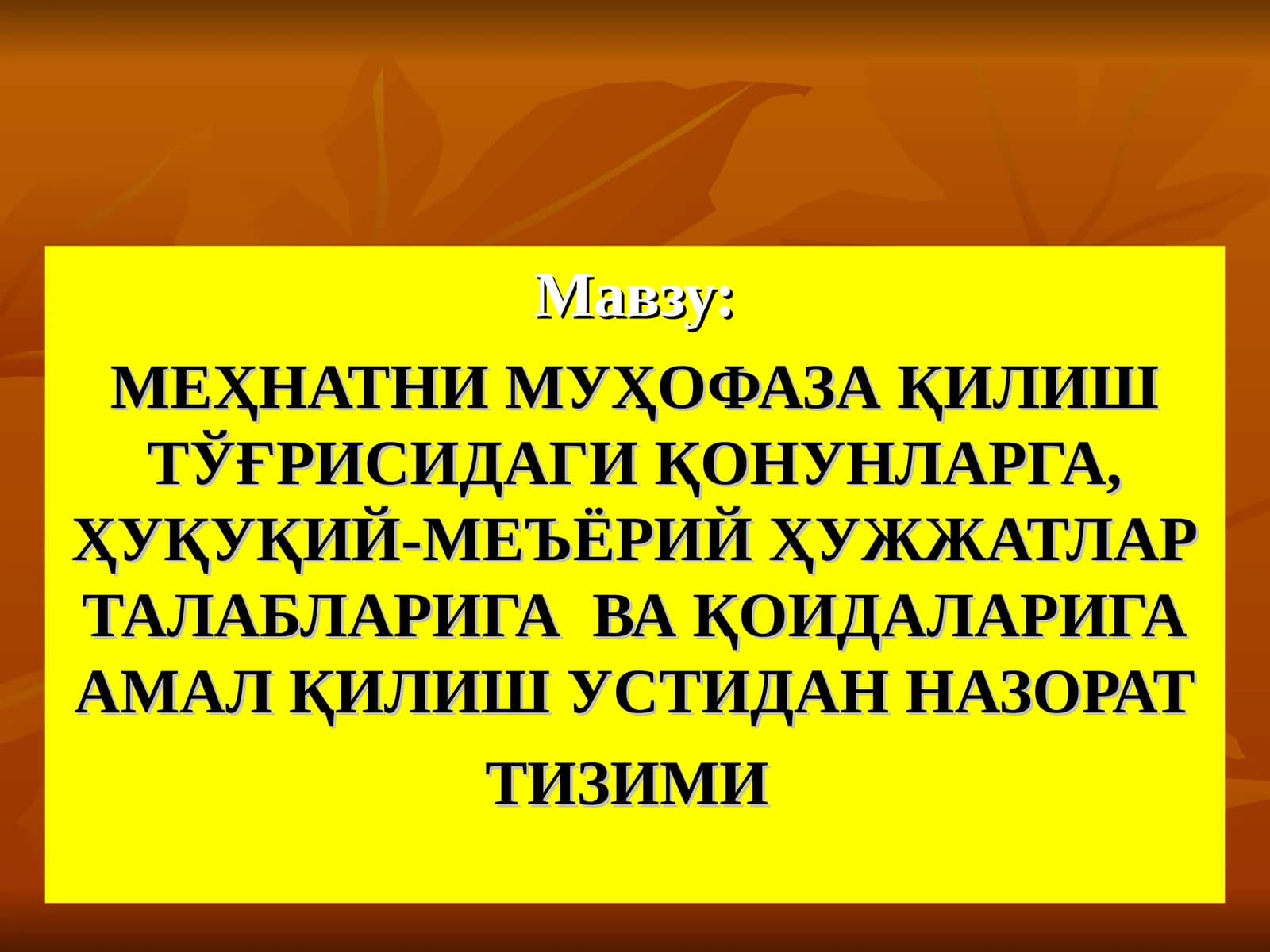 МЕҲНАТНИ МУҲОФАЗА ҚИЛИШ ТЎҒРИСИДАГИ ҚОНУНЛАРГА, ҲУҚУҚИЙ-МЕЪЁРИЙ ҲУЖЖАТЛАР ТАЛАБЛАРИГА ВА ҚОИДАЛАРИГА АМАЛ ҚИЛИШ УСТИДАН НАЗОРАТ ТИЗИМИ