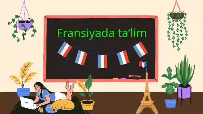 Fransiyada taʼlim