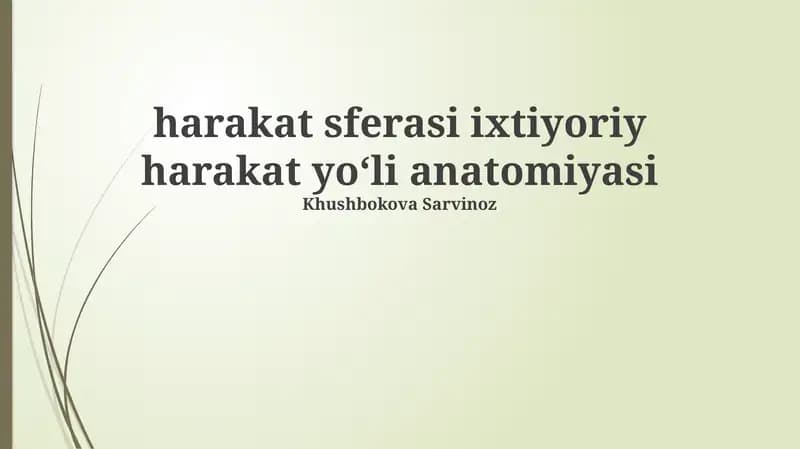 Harakat sferasi ixtiyoriy harakat yoʻli anatomiyasi