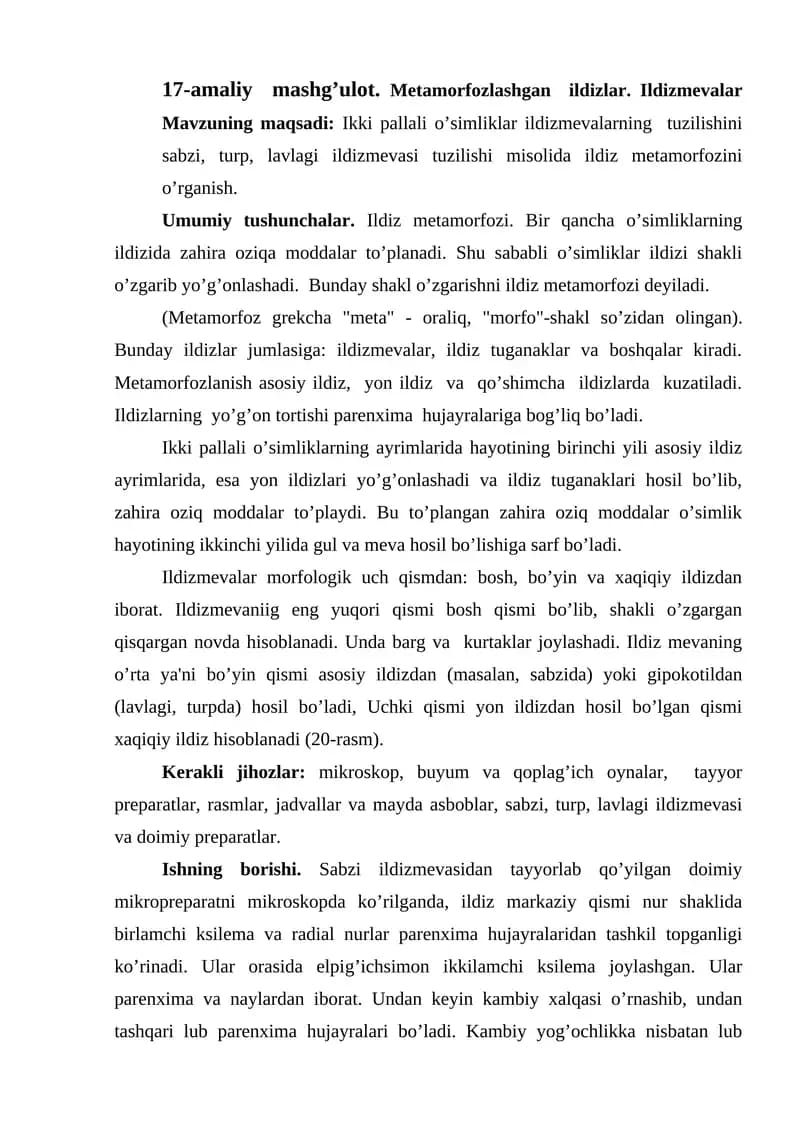 Ildiz metamorfozi