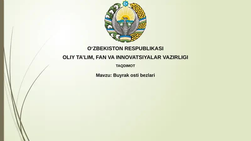 Buyrakostibezlari