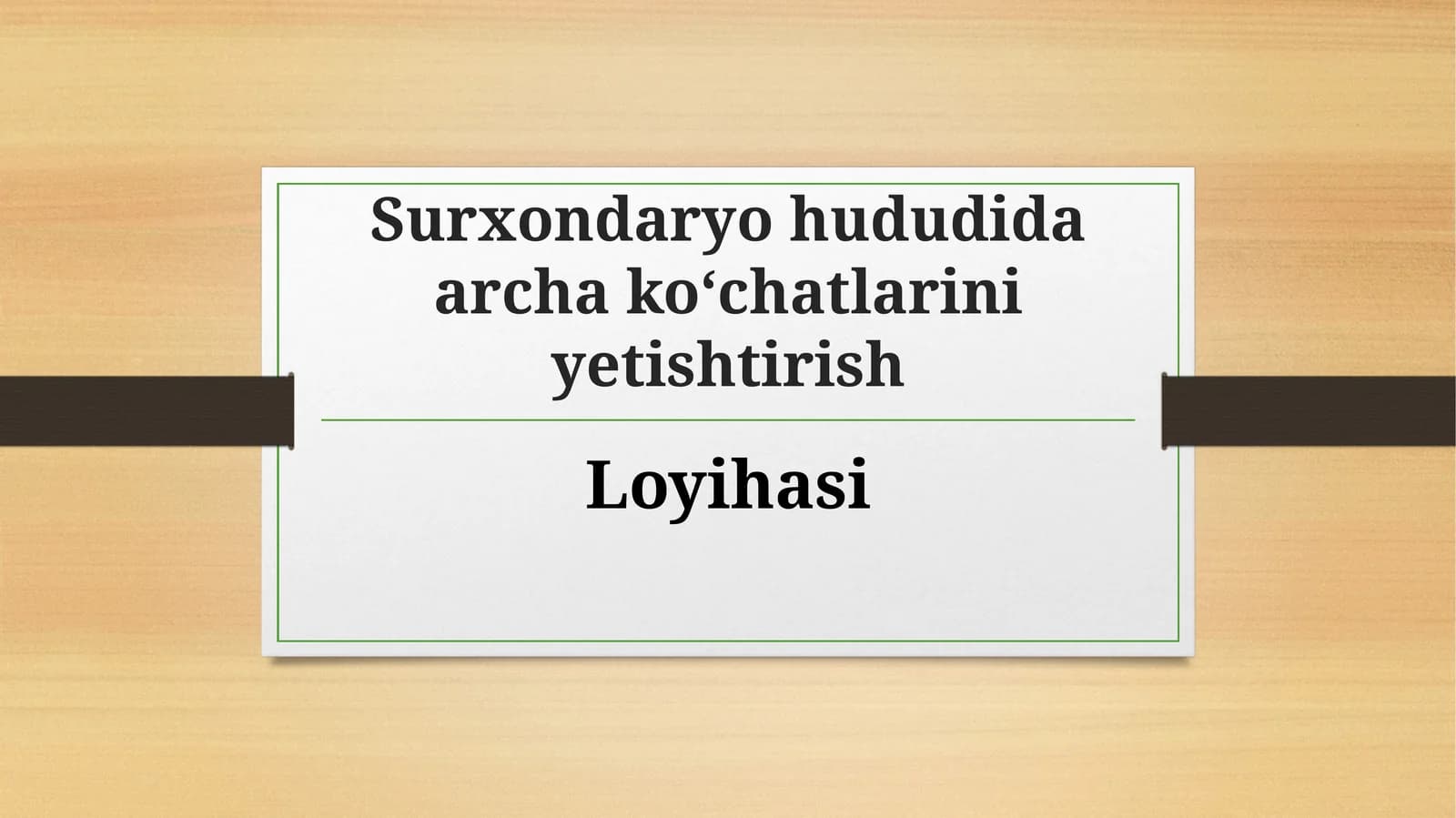(100 millionlik loyiha ishi)  Surxondaryohududida archa ko‘chatlarini yetishtirish Loyihasi