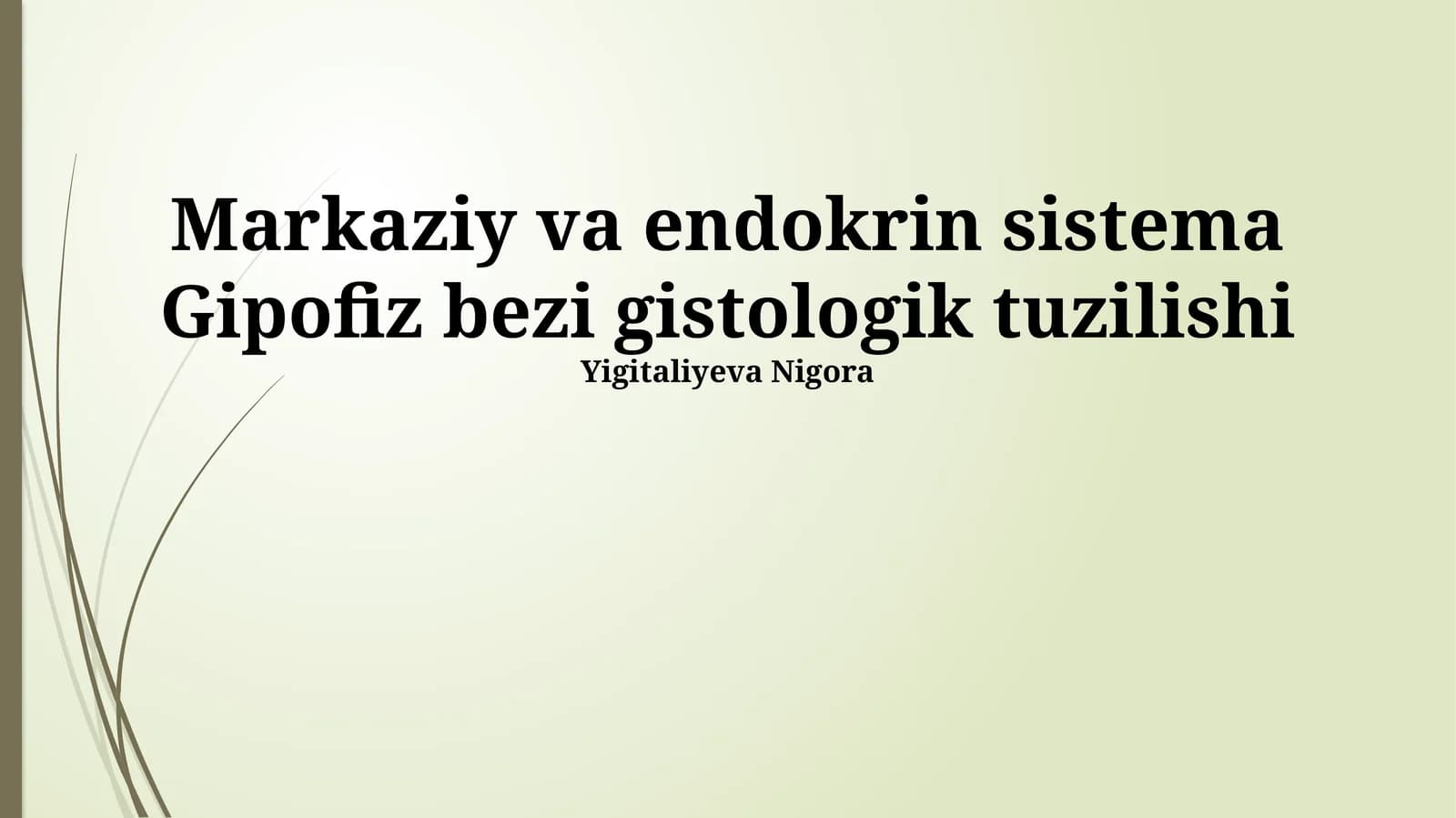 Markaziy va endokrin sistema Gipofiz bezi gistologik tuzilishi