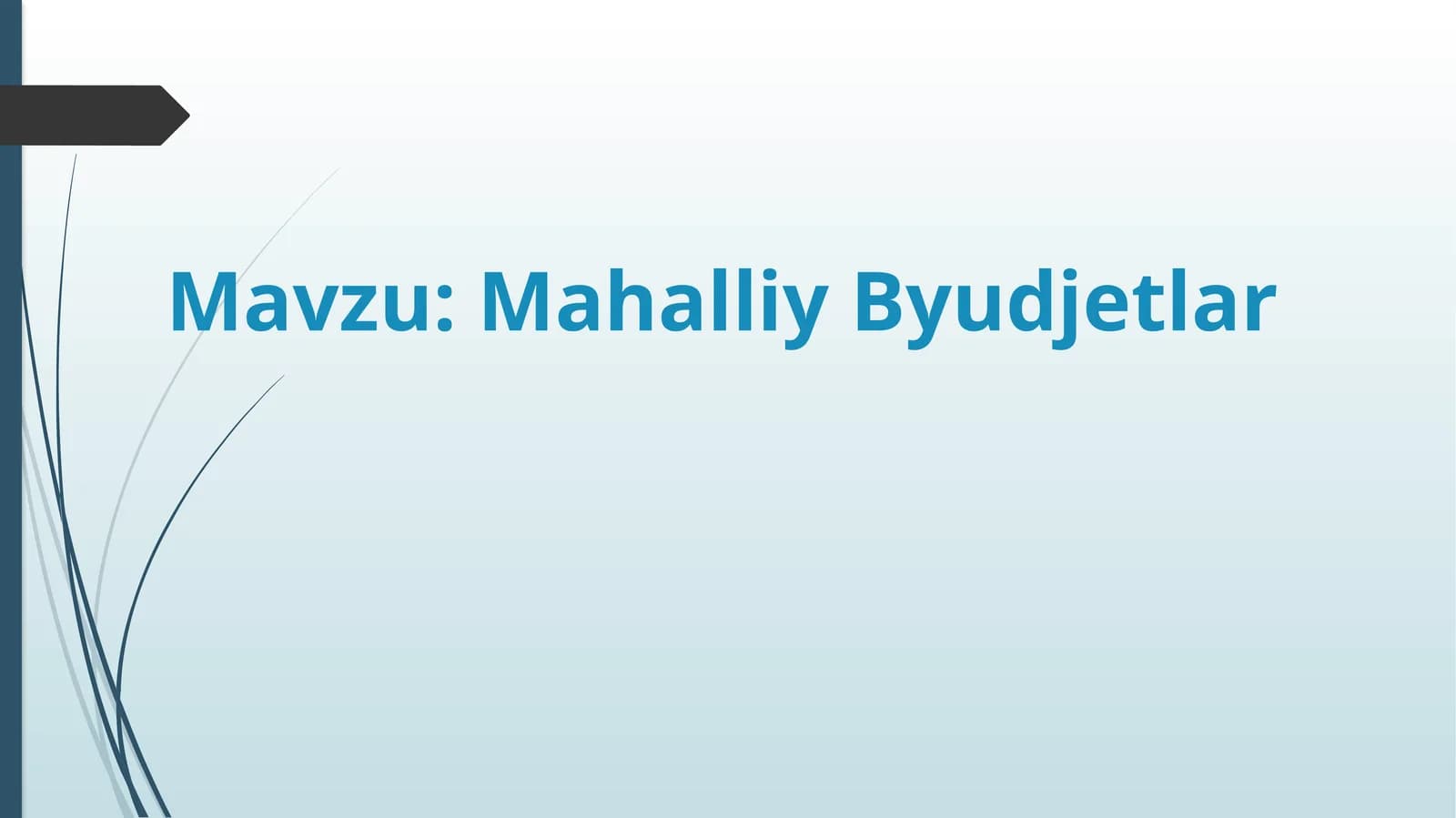 Mahalliy Byudjetlar