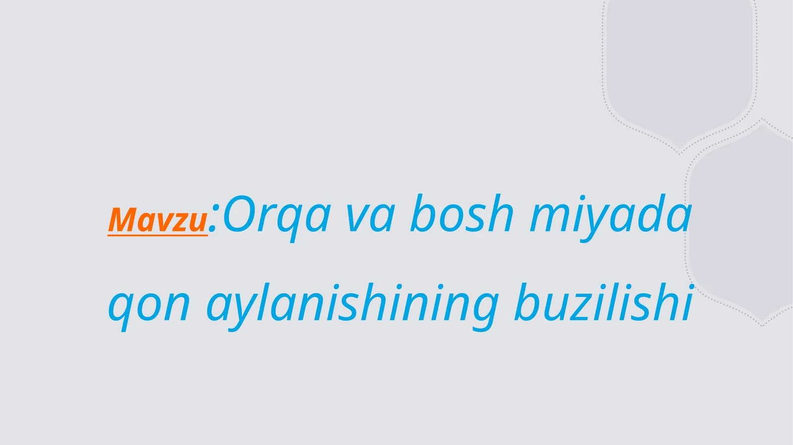 Miya va orqa miyada qon aylanishi