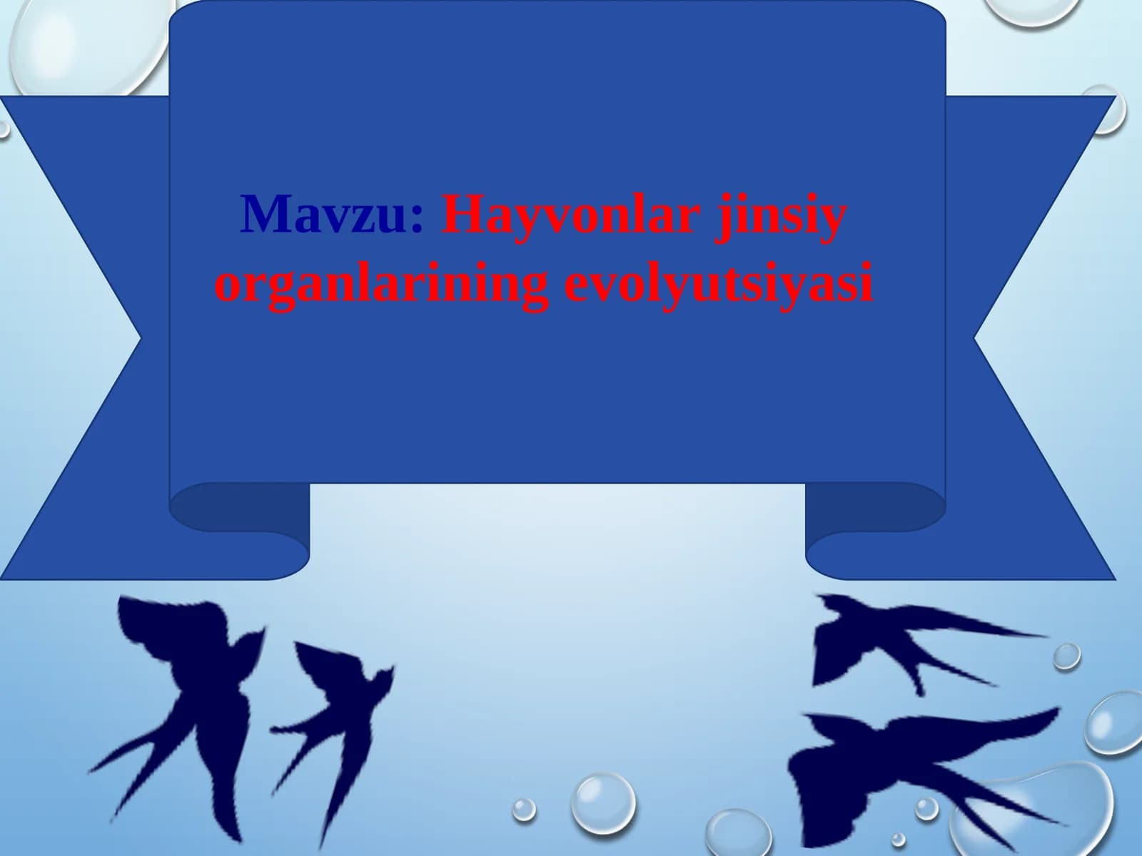 Hayvonlar jinsiy organlarining evolyutsiyasi