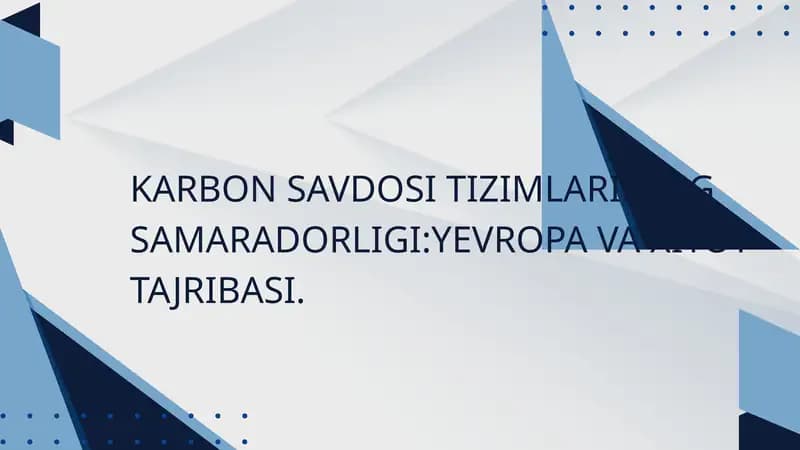 Karbon savdosi tizimlarining samaradorligi:Xitoy va Yevropa tajribasi