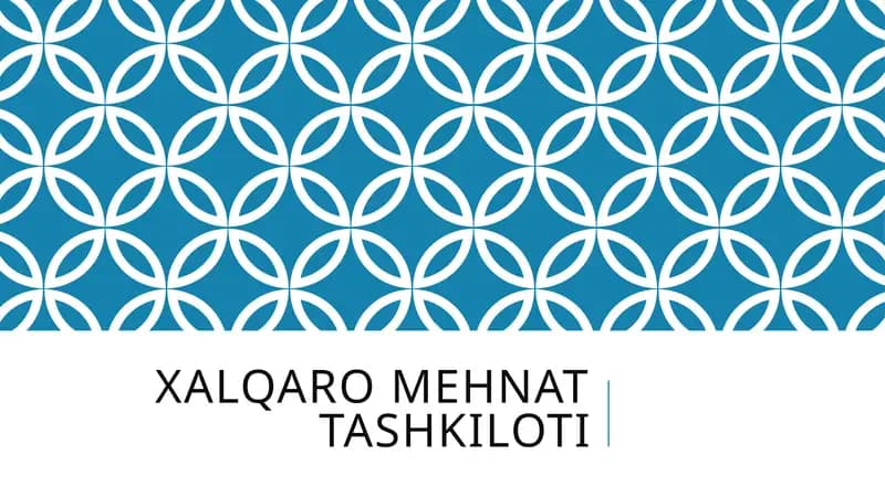 Xalqaro mehnat tashkiloti