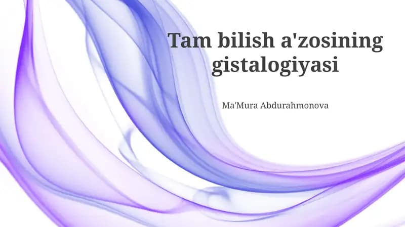 Burun va Tilning Gistologiyasi