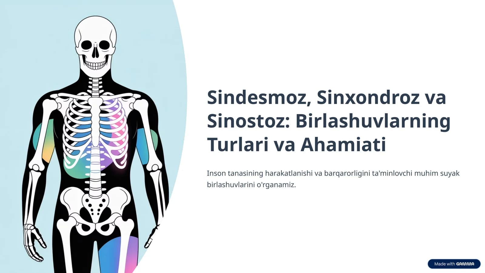 Sindesmoz, Sinxondroz va Sinostoz: Birlashuvlarning Turlari va Ahamiati