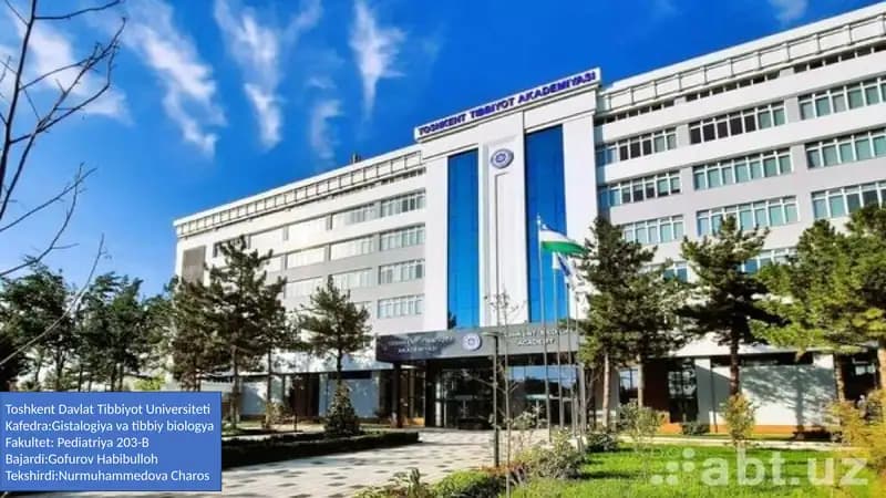 Me'daning Kompensator-Adaptiv va Regenerativ Xususiyatlari