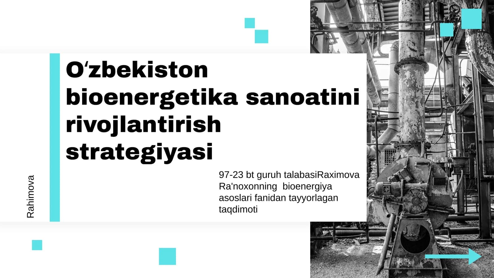 Oʻzbekiston bioenergetika sanoatini rivojlantirish strategiyasi