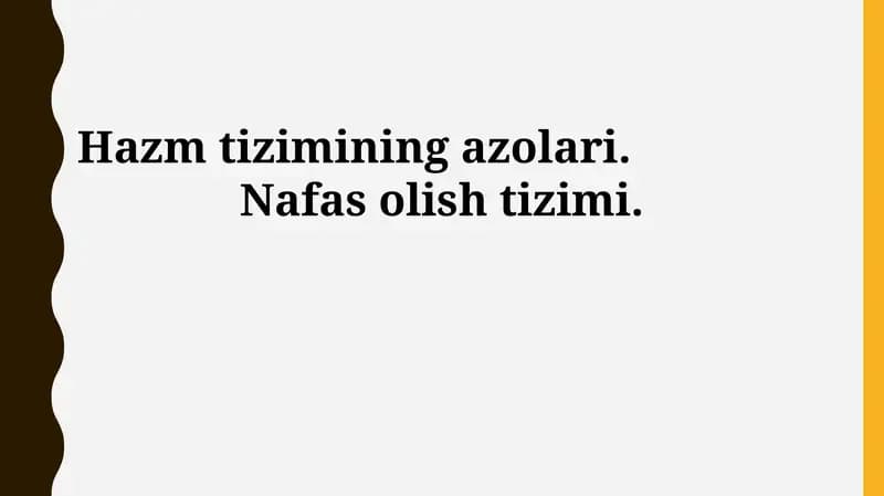Ovqat hazm qilish tizimi