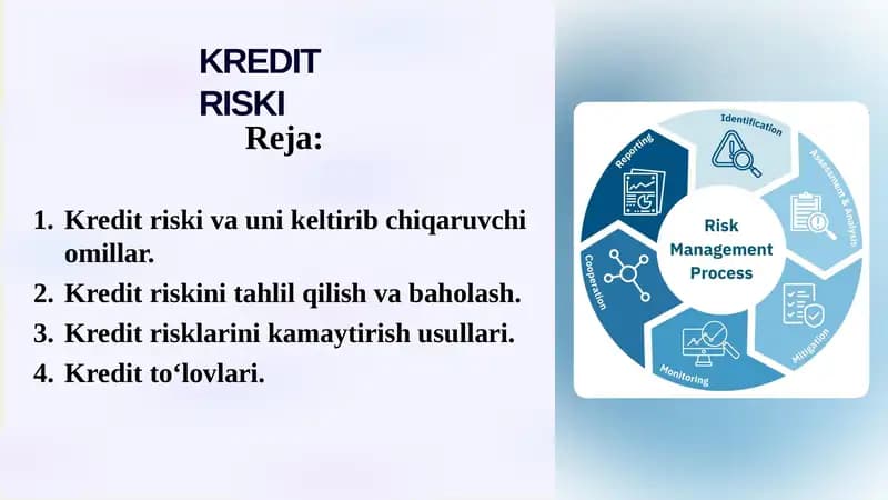 KREDIT RISKI