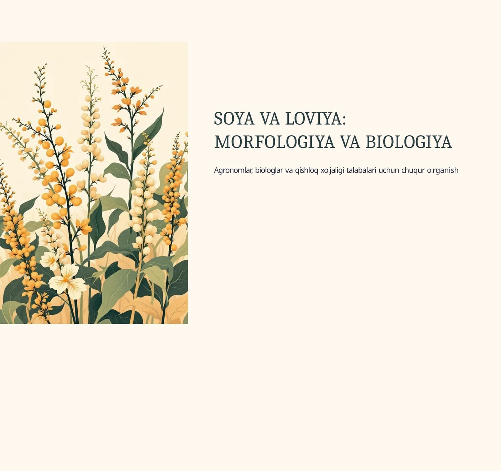 Soya va loviya morfologiyasi va biologiyasi PPT – Biologiya, Agronomiya va Dehqonchilik fanidan taqdimot