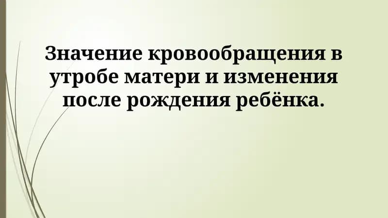 Кровообращение в утробе матери и изменения после рождения