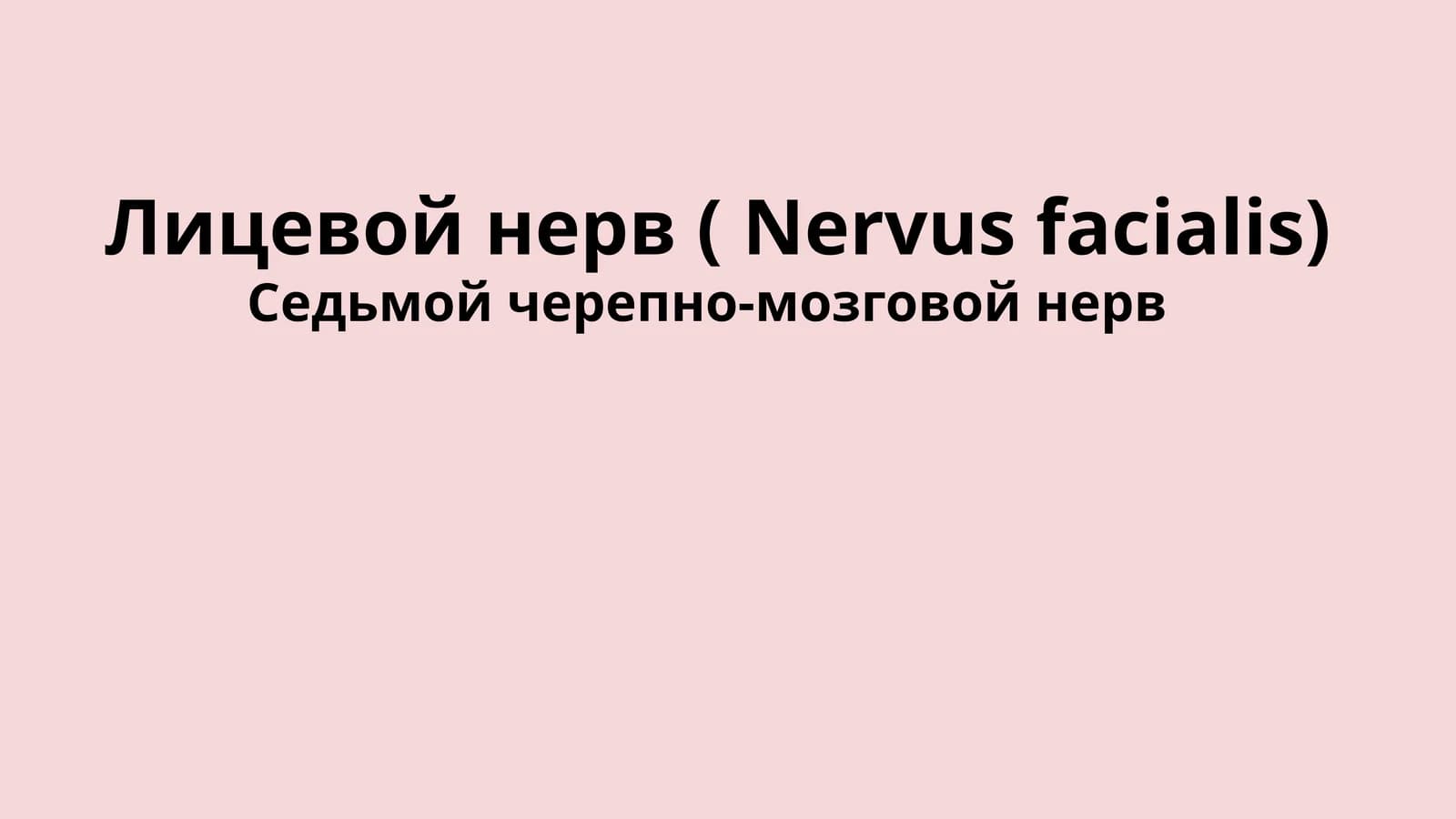 Nervus facialis