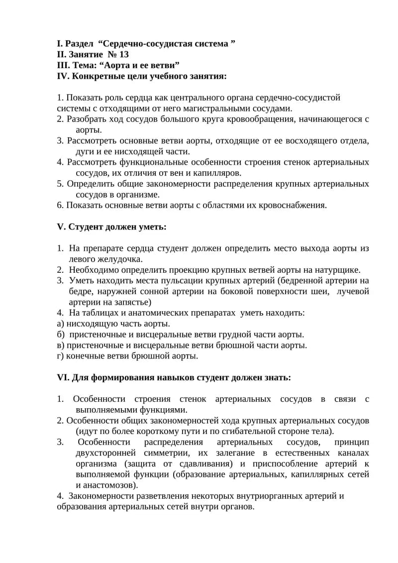Аорта и ее ветви