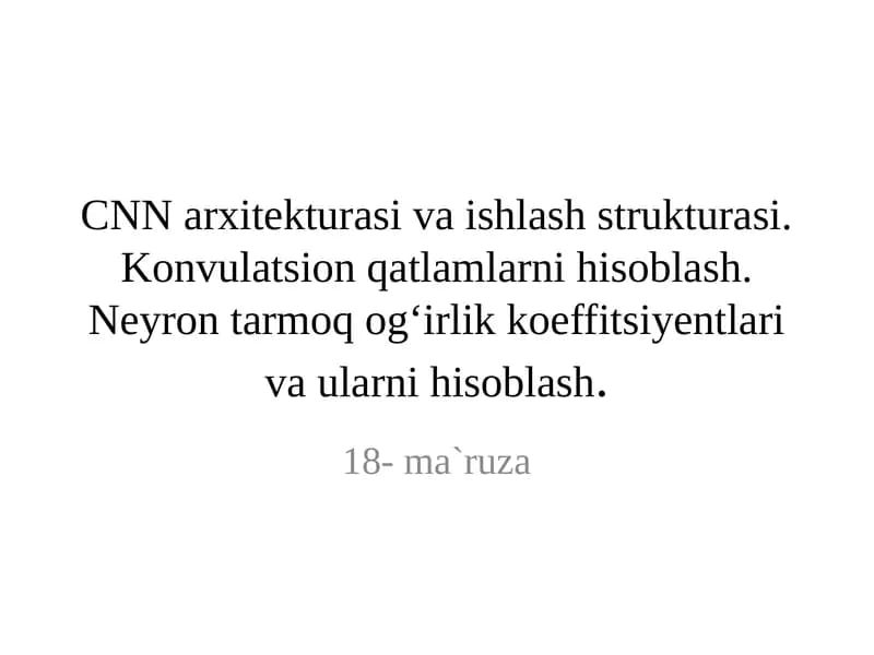 Konvolyutsion neyron tarmog'i (CNN)
